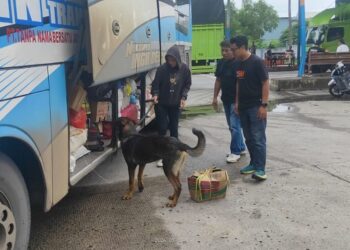 Anjing Pelacak Temukan 80 Ribu Gram Sabu dan 1.006 Butir Ekstasi di Pelabuhan Bakauheni Lampung