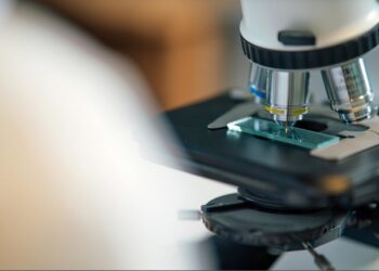 Inovasi Sektor Perkebunan, BPDP Buka Program Grant Riset 2026