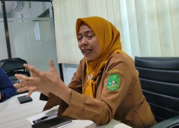 Waode Nuraida: Gangguan Jiwa Tak Selalu Muncul Tiba-tiba