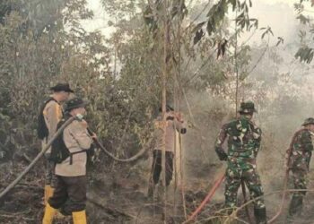 Karhutla, Pelaku Harus Dapat Pemberatan Hukuman dan Perampasan Keuntungan Korporasi