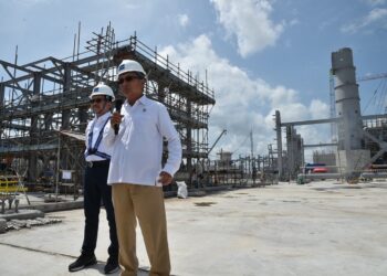 Smelter PT FI, Menteri ESDM Minta Progres Proyek 4% Per Bulan