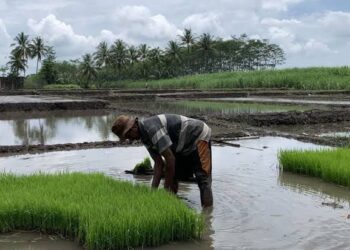 H Alung Minta Pemprov Atasi Persoalan Klasik yang Dialami Petani