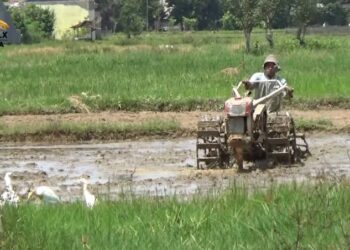 DPRD Kaltim Dorong Tambahan Sarana Prasana Sektor Pertanian di Kutai Kartanegara