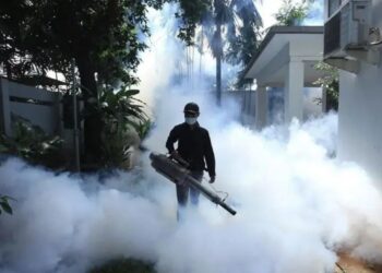 Kasus DBD Meningkat Dua Kali Lipat di Maret 2024