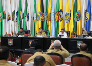 Kemendagri Ingatkan Pemda Masifkan Gerakan Menanam Cabai