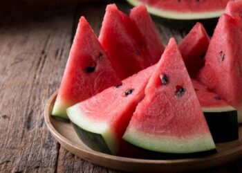 Usaha Tani Semangka Makin Berkembang di Muara Kaman