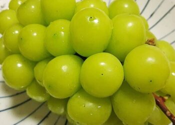 Anggur Muscat Dalam Pemeriksaan BPOM