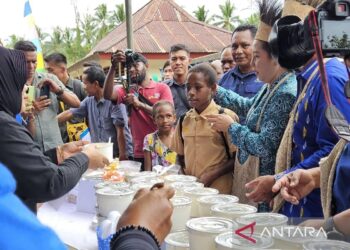 Program Makan Bergizi Gratis Menyasar Daerah 3T di Papua
