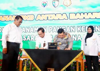 Ketahanan Pangan Penting untuk Hadapi Perubahan Iklim dan Krisis Geopolitik