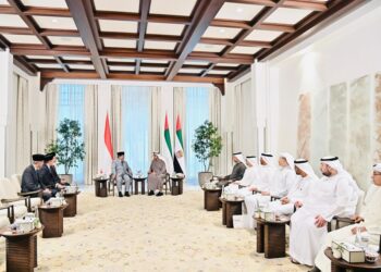 Presiden Prabowo dan Presiden MBZ Bahas Upaya Perdamaian di Gaza