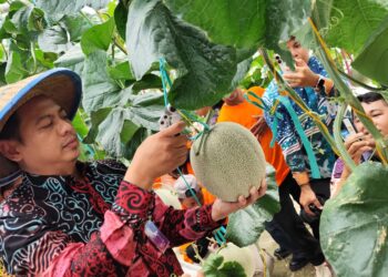 SMK-SPP Negeri Samarinda Jadi Role Model Pertanian Inovatif di Kaltim