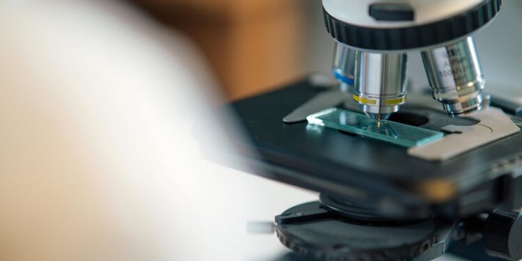 Inovasi Sektor Perkebunan, BPDP Buka Program Grant Riset 2026