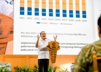 Indonesia Tempati Peringkat Kedua Ketahanan Energi Terbaik Dunia