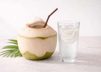 Manfaat Minum Air Kelapa