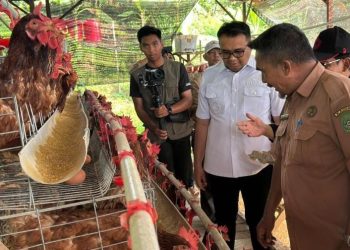 DPMPTSP Kukar Kaji Potensi Produk Unggulan Desa untuk Tarik Investor