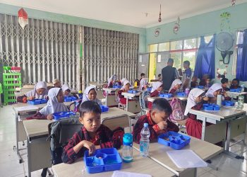 Posyandu Berpeluang Menjadi Bagian Pelaksana Makanan Bergizi bagi Balita dan Lansia