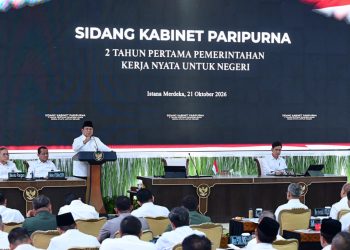 Presiden Minta Usut Tuntas Keterlibatan Manusia dan Korporasi dalam Karhutla